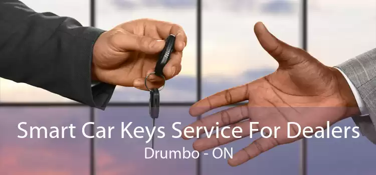 Smart Car Keys Service For Dealers Drumbo - ON