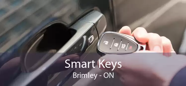 Smart Keys Brimley - ON