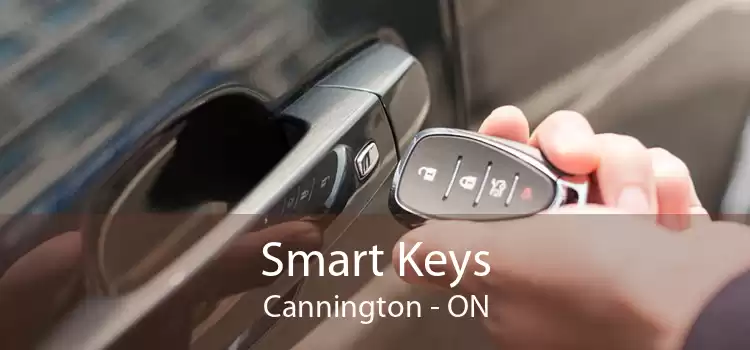 Smart Keys Cannington - ON