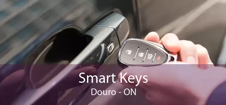 Smart Keys Douro - ON