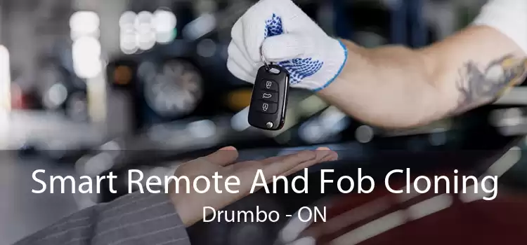 Smart Remote And Fob Cloning Drumbo - ON