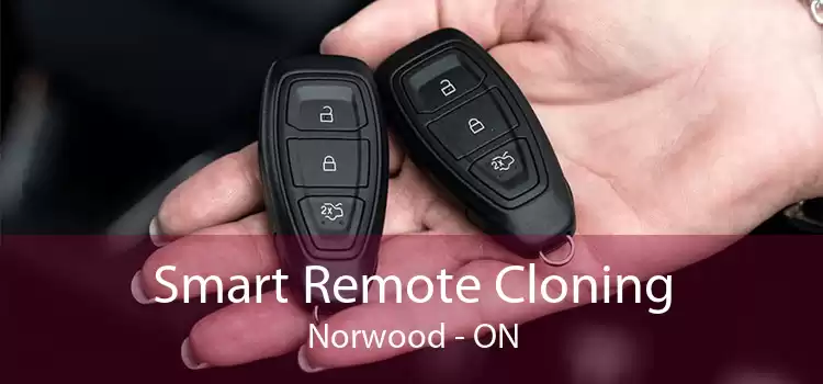 Smart Remote Cloning Norwood - ON