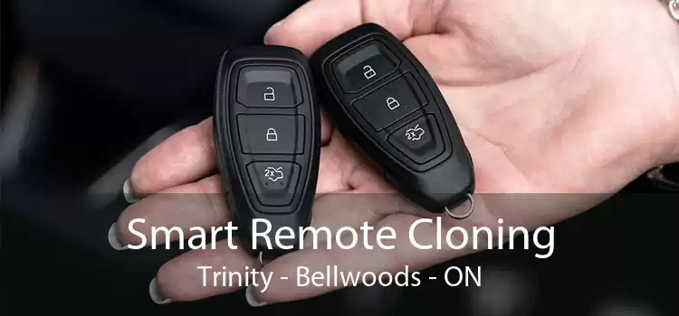 Smart Remote Cloning Trinity - Bellwoods - ON
