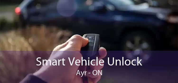 Smart Vehicle Unlock Ayr - ON