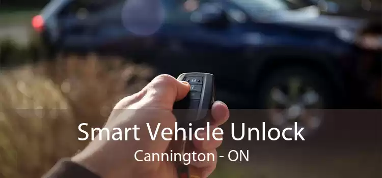 Smart Vehicle Unlock Cannington - ON