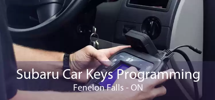 Subaru Car Keys Programming Fenelon Falls - ON