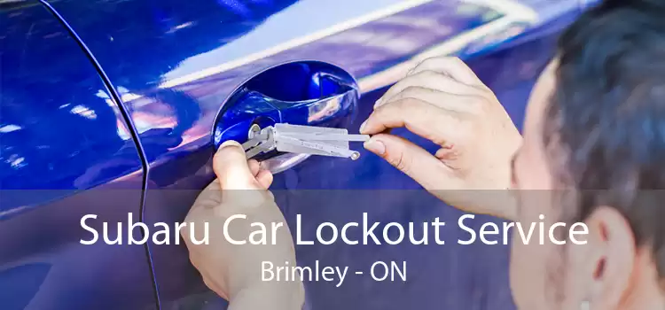 Subaru Car Lockout Service Brimley - ON