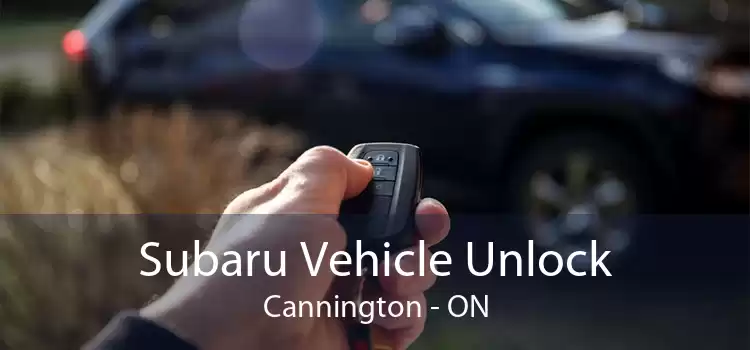 Subaru Vehicle Unlock Cannington - ON