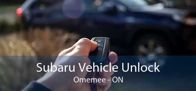 Subaru Vehicle Unlock Omemee - ON