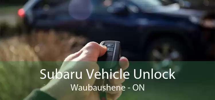 Subaru Vehicle Unlock Waubaushene - ON