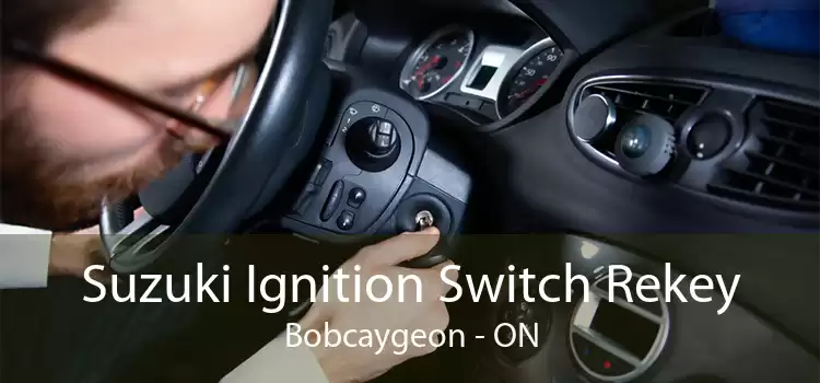 Suzuki Ignition Switch Rekey Bobcaygeon - ON