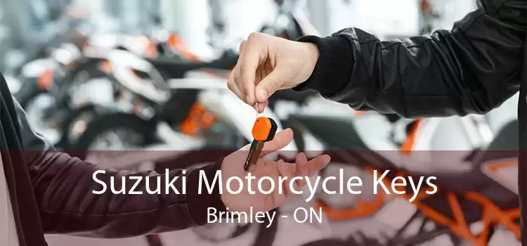 Suzuki Motorcycle Keys Brimley - ON