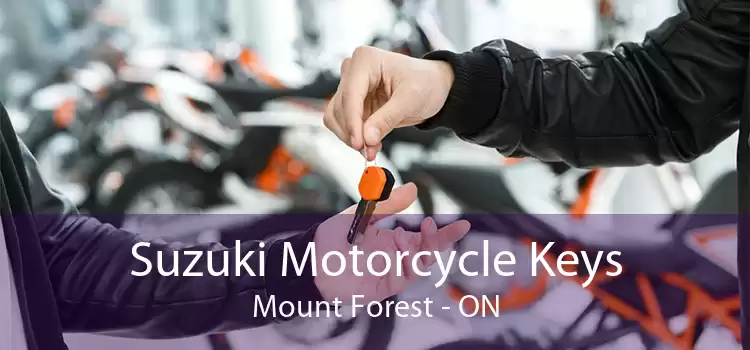 Suzuki Motorcycle Keys Mount Forest - ON