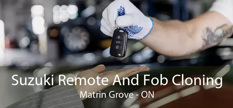 Suzuki Remote And Fob Cloning Matrin Grove - ON