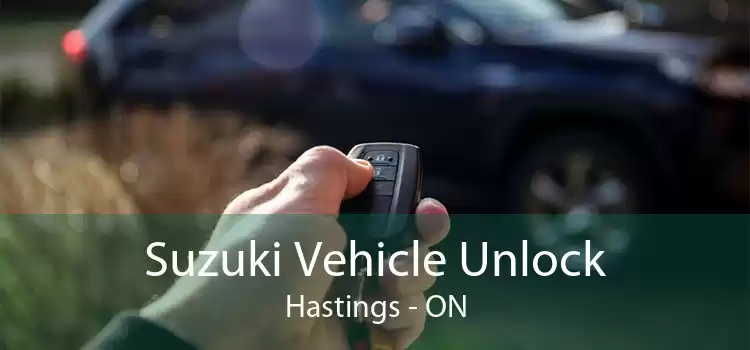 Suzuki Vehicle Unlock Hastings - ON