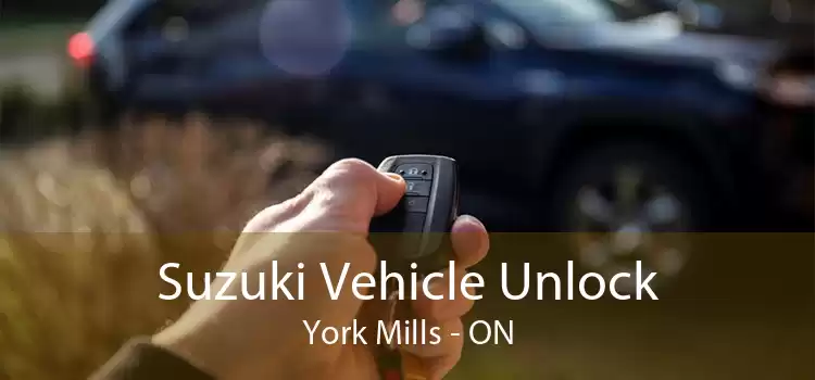 Suzuki Vehicle Unlock York Mills - ON