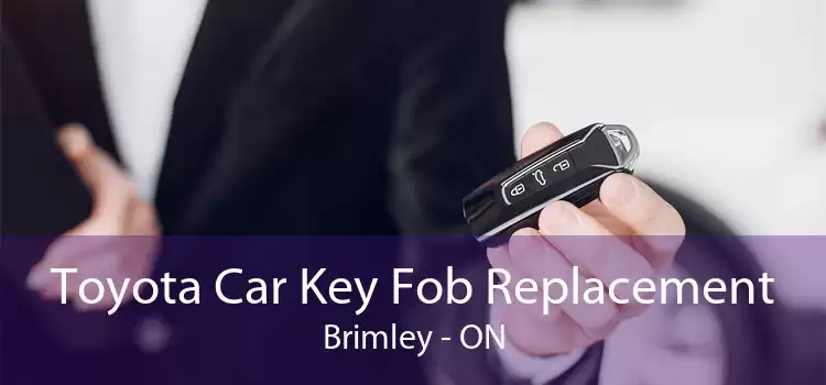 Toyota Car Key Fob Replacement Brimley - ON