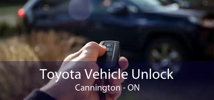 Toyota Vehicle Unlock Cannington - ON