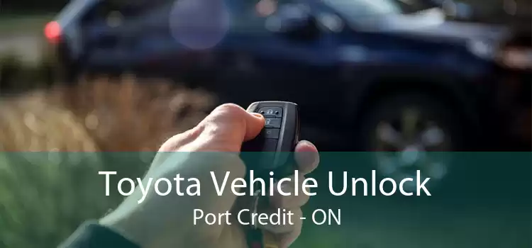 Toyota Vehicle Unlock Port Credit - ON