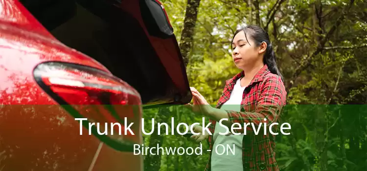 Trunk Unlock Service Birchwood - ON