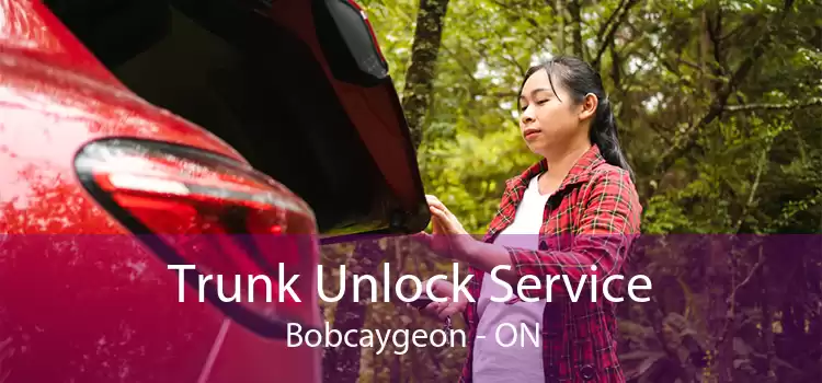 Trunk Unlock Service Bobcaygeon - ON