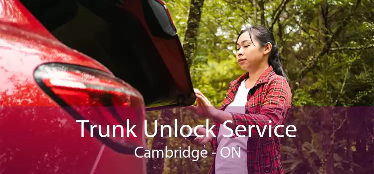 Trunk Unlock Service Cambridge - ON