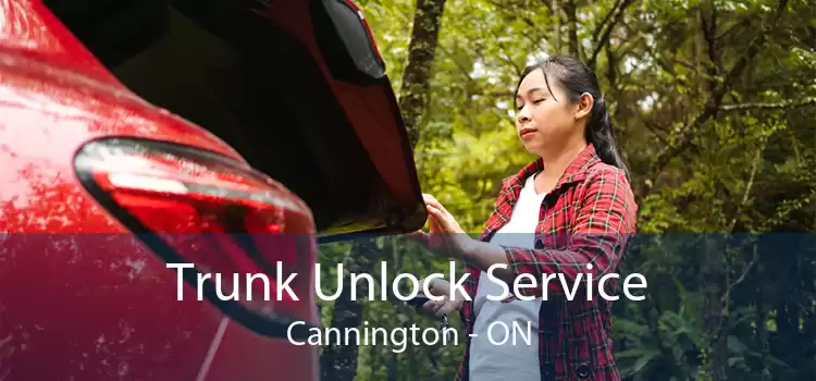 Trunk Unlock Service Cannington - ON