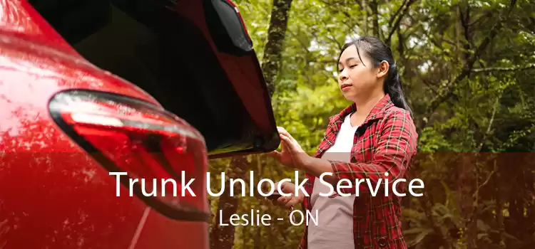 Trunk Unlock Service Leslie - ON