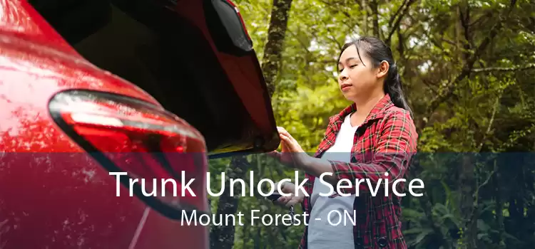Trunk Unlock Service Mount Forest - ON