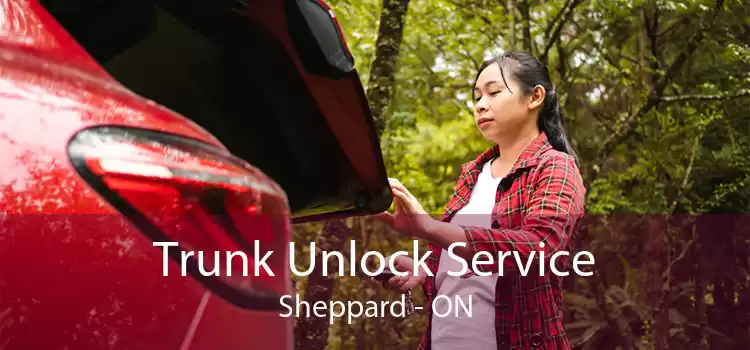 Trunk Unlock Service Sheppard - ON