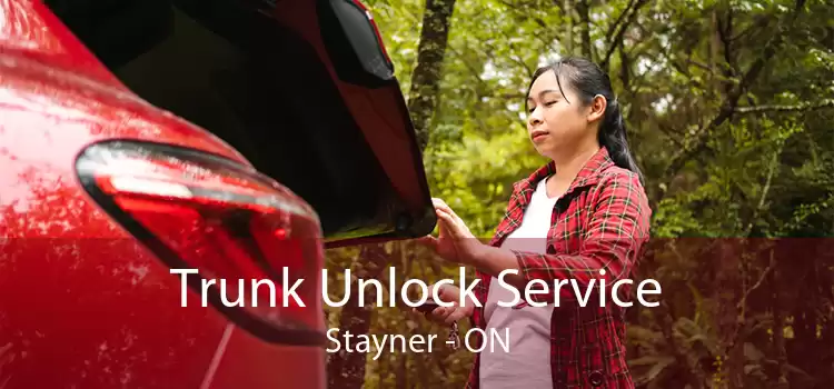 Trunk Unlock Service Stayner - ON