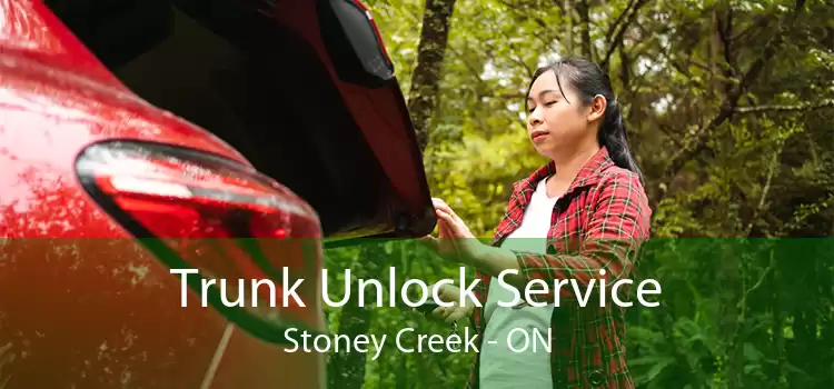 Trunk Unlock Service Stoney Creek - ON