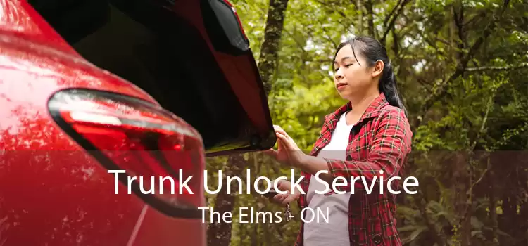 Trunk Unlock Service The Elms - ON