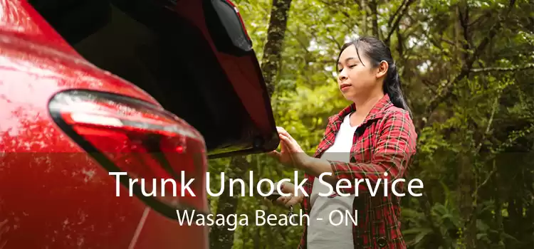 Trunk Unlock Service Wasaga Beach - ON