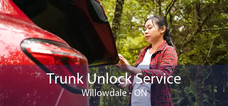 Trunk Unlock Service Willowdale - ON