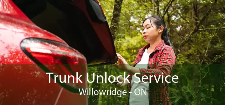 Trunk Unlock Service Willowridge - ON
