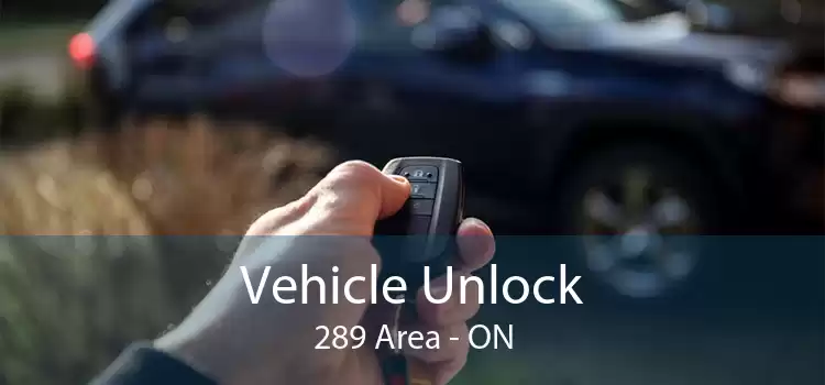 Vehicle Unlock 289 Area - ON