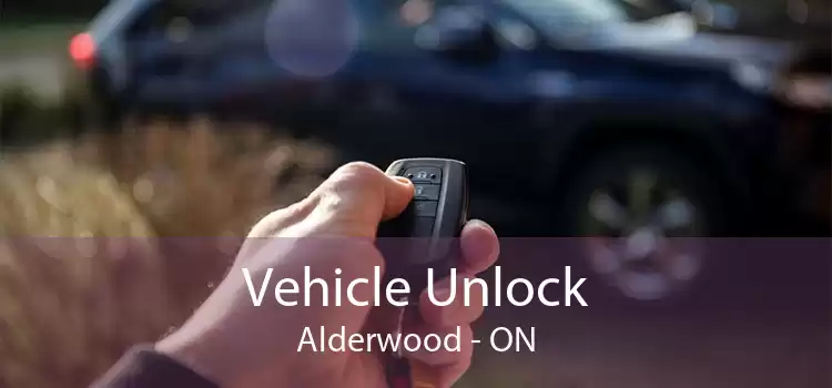 Vehicle Unlock Alderwood - ON