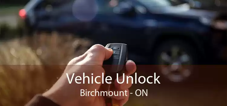 Vehicle Unlock Birchmount - ON