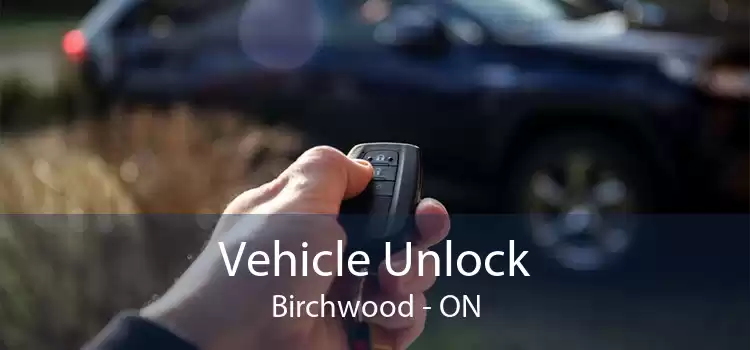 Vehicle Unlock Birchwood - ON