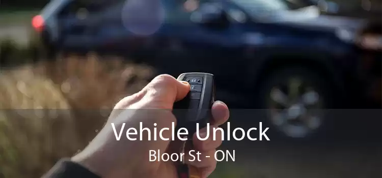 Vehicle Unlock Bloor St - ON