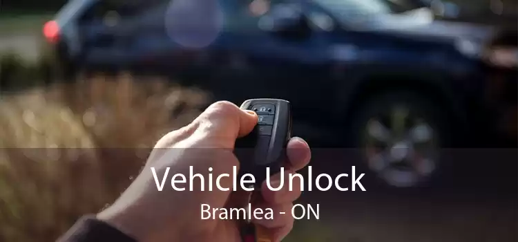 Vehicle Unlock Bramlea - ON