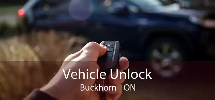 Vehicle Unlock Buckhorn - ON