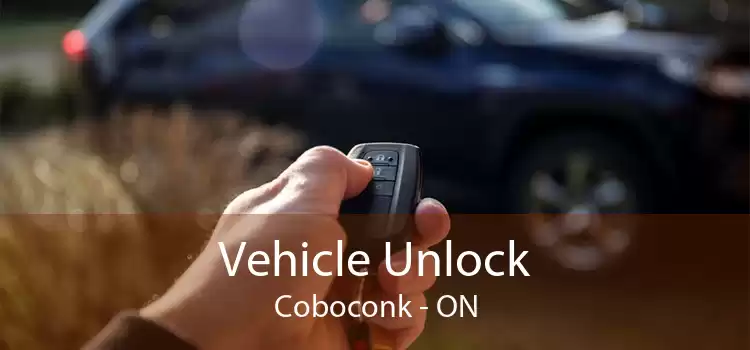 Vehicle Unlock Coboconk - ON