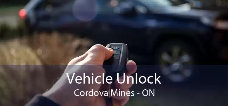 Vehicle Unlock Cordova Mines - ON
