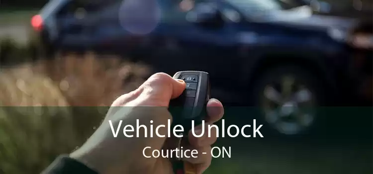 Vehicle Unlock Courtice - ON