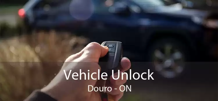 Vehicle Unlock Douro - ON