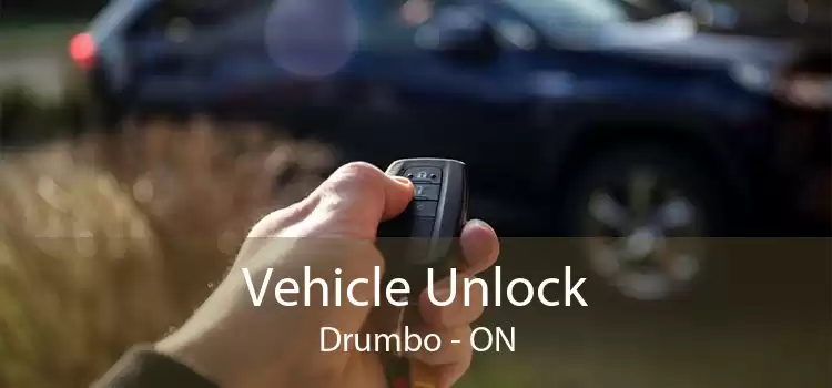 Vehicle Unlock Drumbo - ON