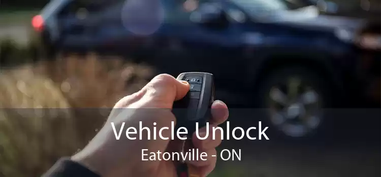 Vehicle Unlock Eatonville - ON