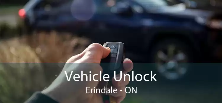 Vehicle Unlock Erindale - ON